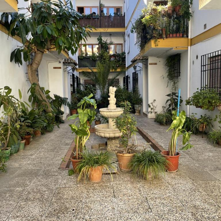 CENTRO - Patio Andaluz San Pablo - PARKING GRATIS- WIFI - Apartamento de 3 dormitorios Premium - 3