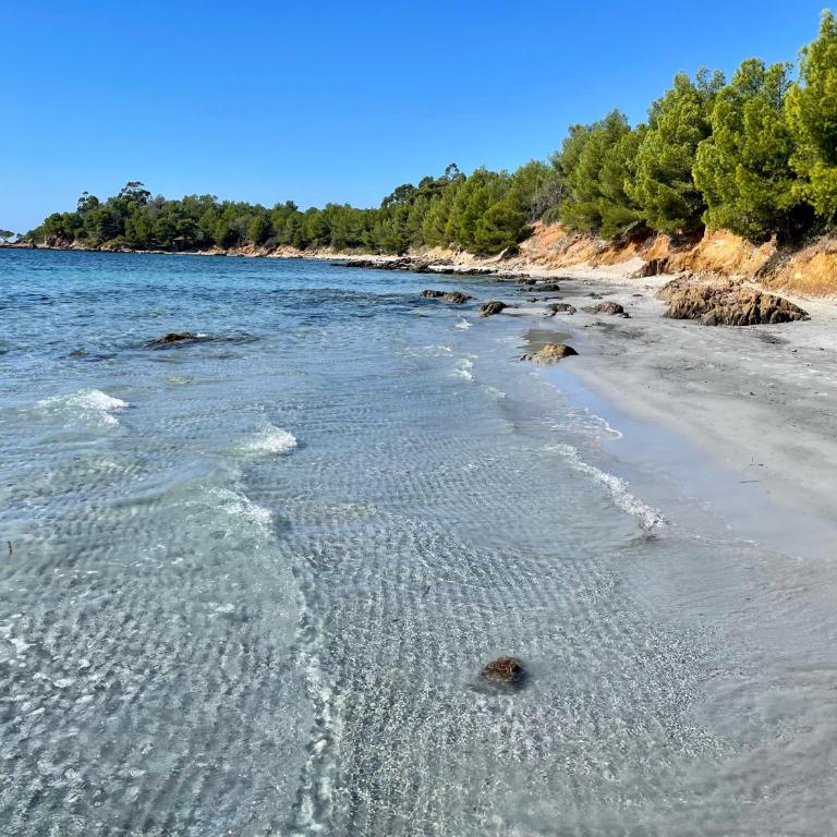 bel appartement proche plage - Apartamento de 1 dormitorio - 12