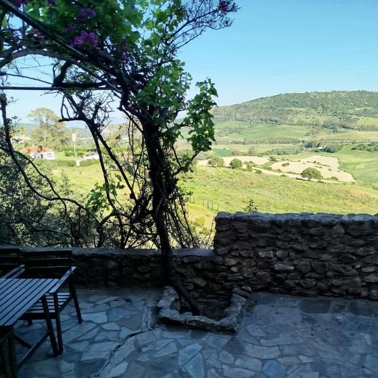 Casa Montecote Eco Resort - Apartamento (4 adultos) - 7