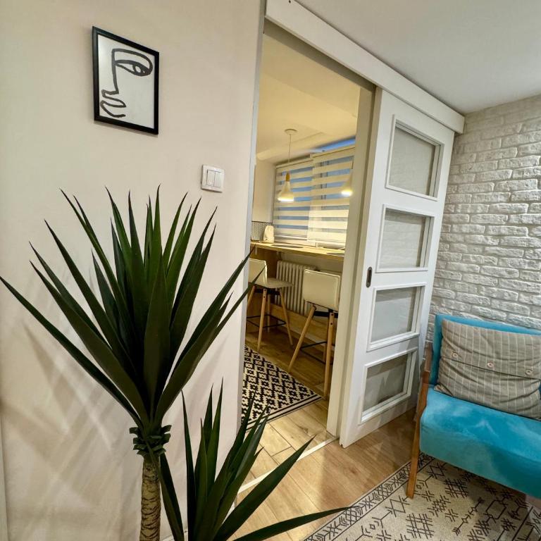 Cozy Haven - Apartman sa 1 Spavaćom Sobom - 7