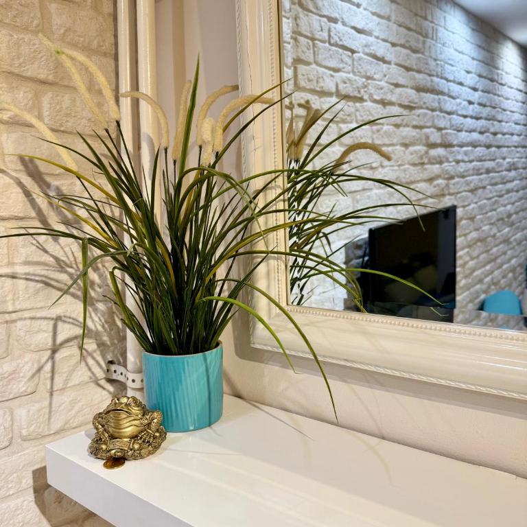 Cozy Haven - Apartman sa 1 Spavaćom Sobom - 14