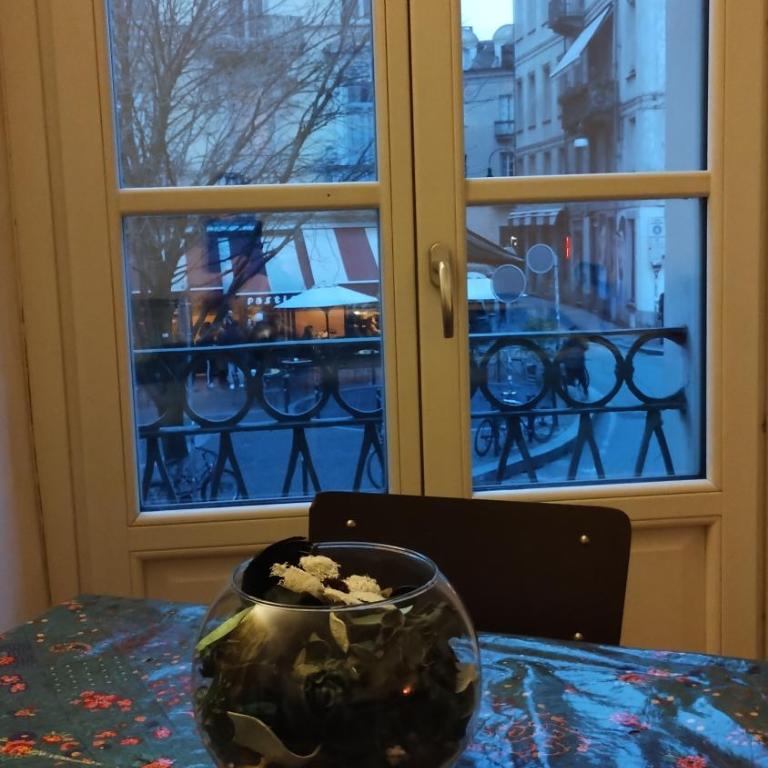A casa di Tally Bicerin - Il tuo angolo di Torino - Appartamento con 1 Camera da Letto - 22