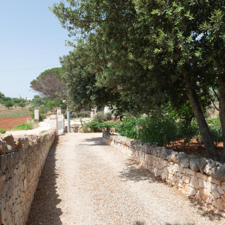 Trullo Filippo with exclusive pool - Casa Vacanze - 12