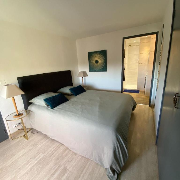 Le grand Castille - Appartement 1 Chambre - 5