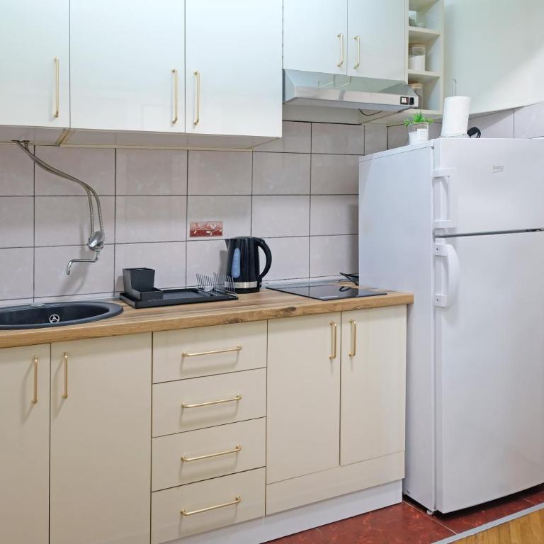 Safari Downtown Apartment - Two-Bedroom Apartment - 7