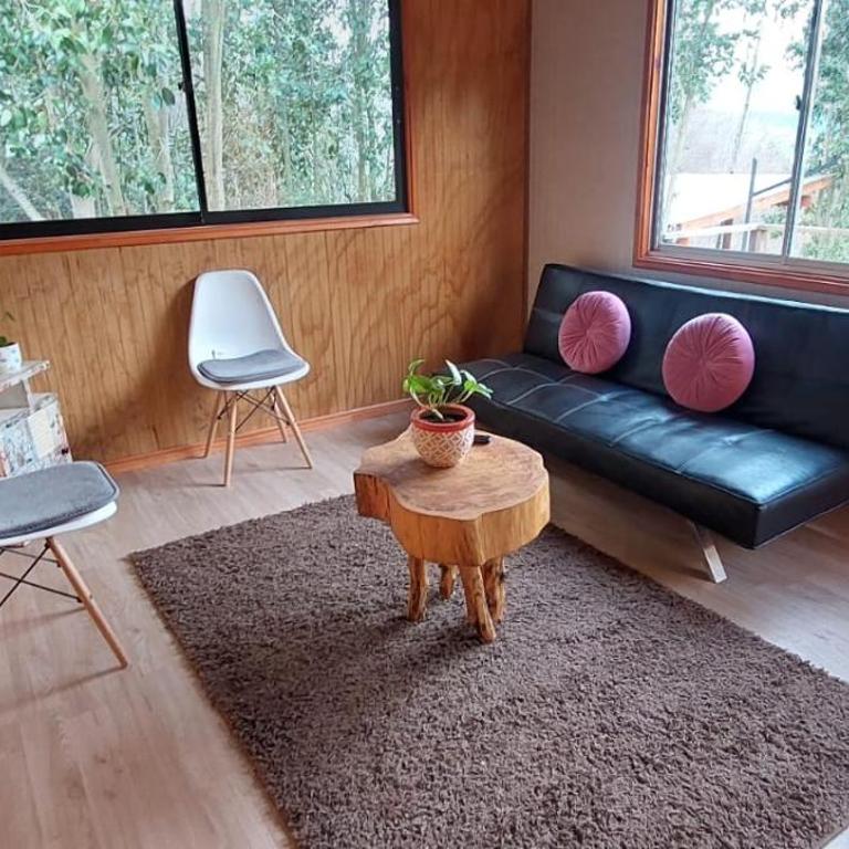 Cabaña El Radal - Apartamento de 2 dormitorios - 11