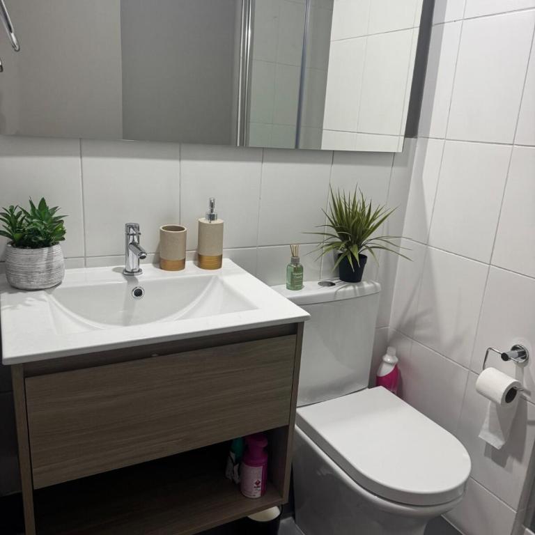 Apartamento Santiago Movistar Arena y Fantasilandia - Apartamento de 1 dormitorio con terraza - 22