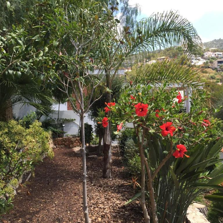 Villa with private pool, ocean & mountain views - Villa - 37