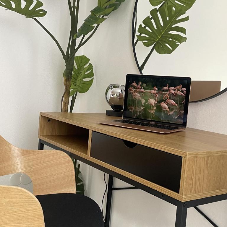Fewo-Altstadt-Zentrum - Apartamento de 2 dormitorios - 10