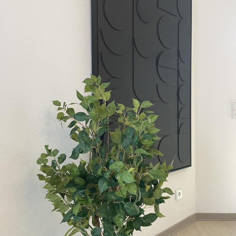 Fewo-Altstadt-Zentrum - Apartamento de 2 dormitorios - 6