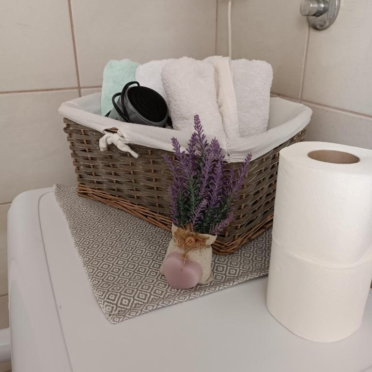 Ellena apartment - Apartman sa 1 Spavaćom Sobom - 3