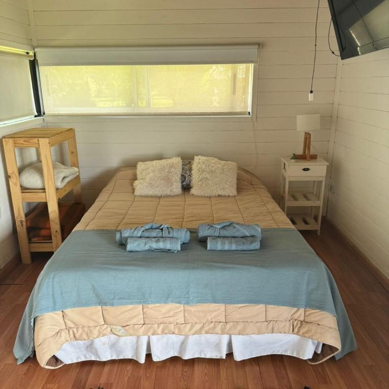 Módulo Cipponeri - Casa con 1 dormitorio - 12
