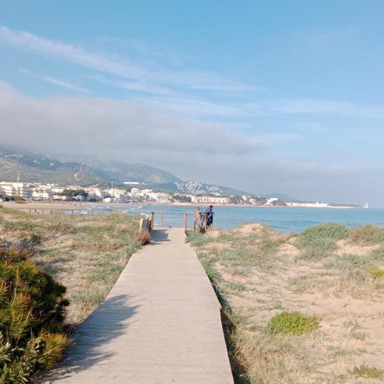 ALCOSSEBRE ALANDALUS Planta Baja con Jardín - Apartamento de 1 dormitorio - 51