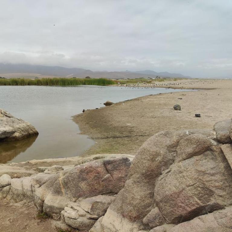 Escapada Romántica - Apartamento de 1 dormitorio - 11