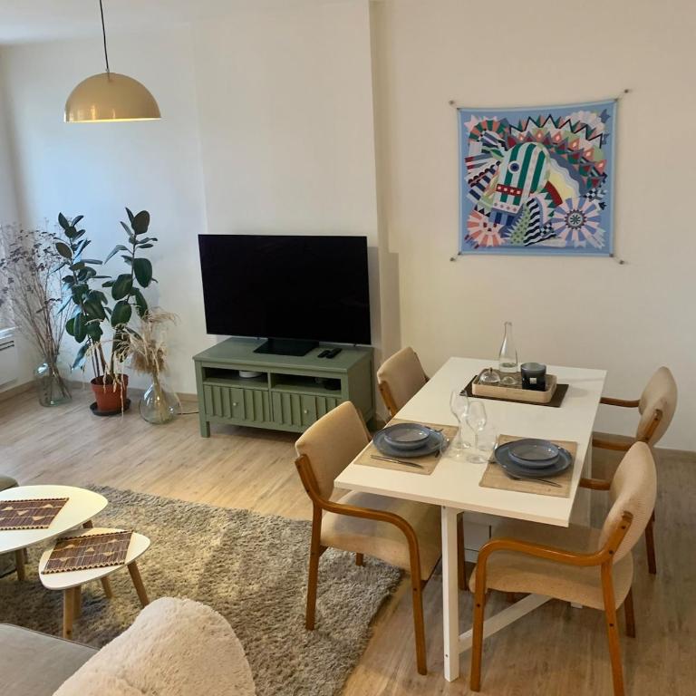 Spacious and central apartment - One-Bedroom Apartment - 1