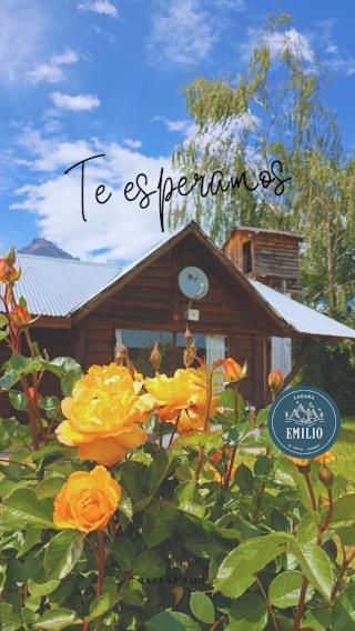 Cabaña Emilio (El Hoyo) - Casa con 1 dormitorio - 17