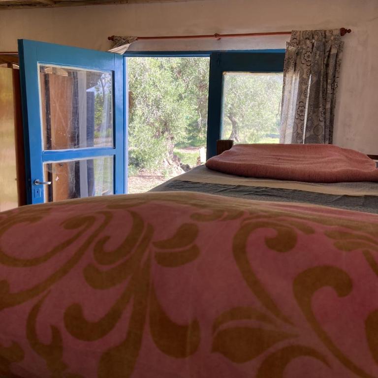Finca Macalicia - Apartamento - Planta baja - 2