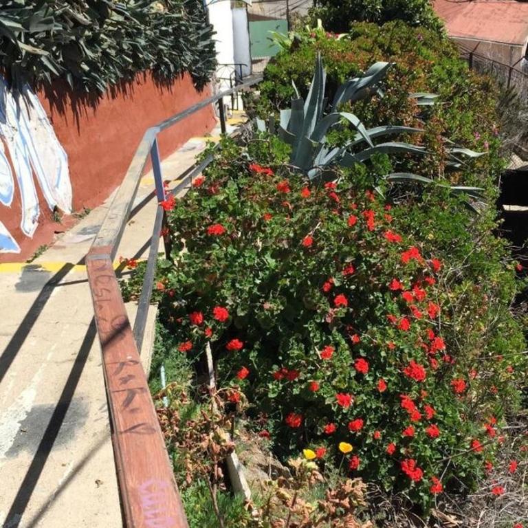 Refugio, cerro alegre - Casa con 1 dormitorio - 10