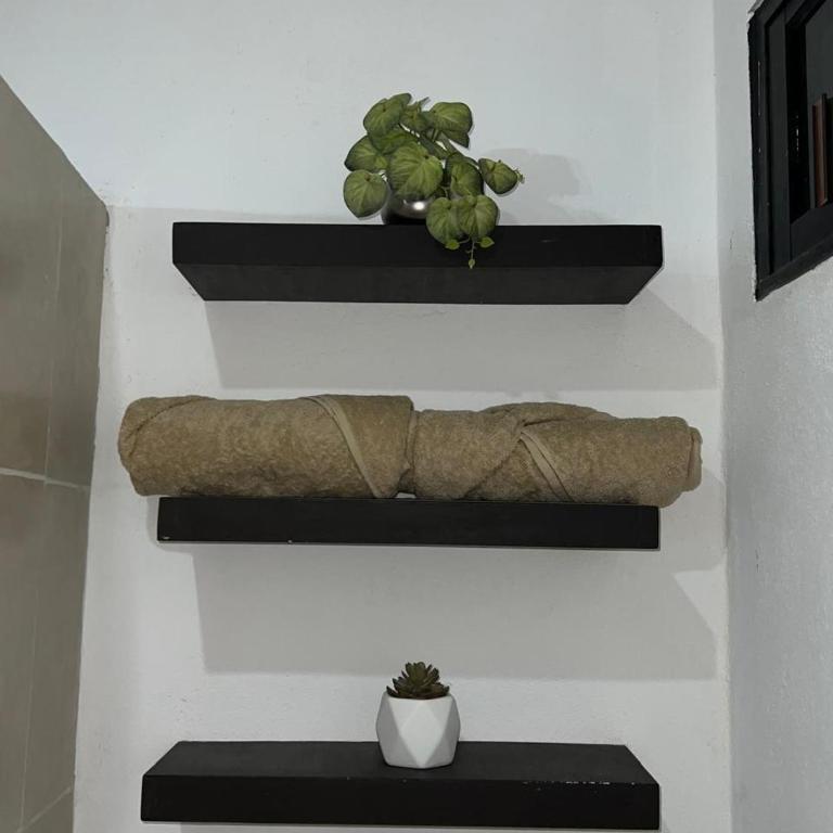 Departamento sisal 2 - Apartamento de 1 dormitorio - 5