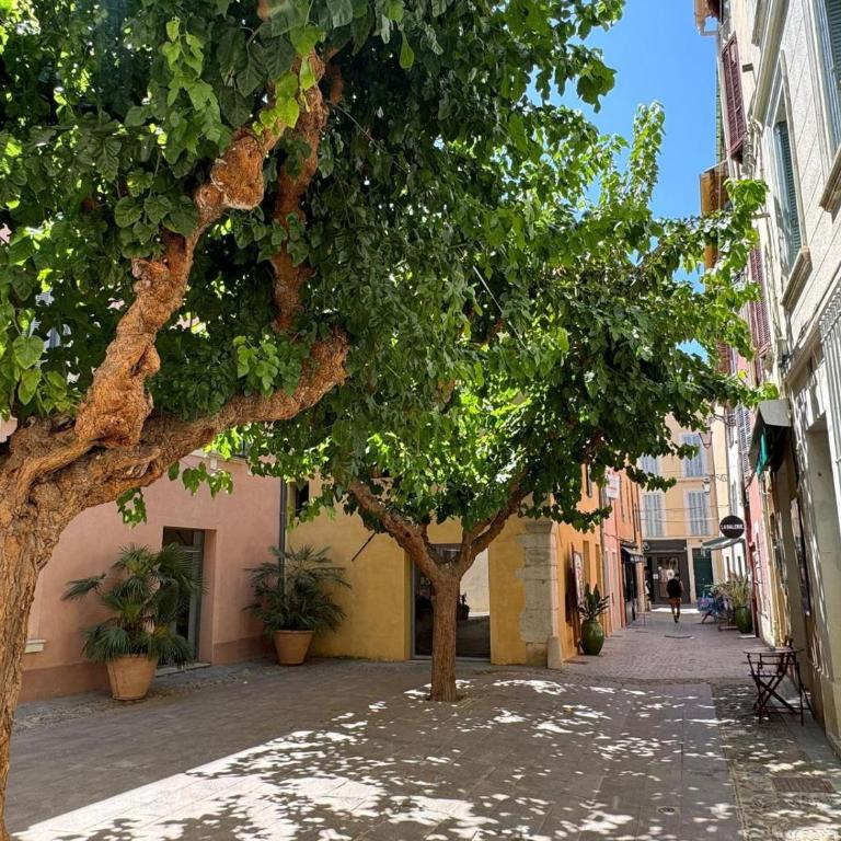 Sanary appartement 2-4 personnes à deux pas du port - Appartamento con 1 Camera da Letto - 28