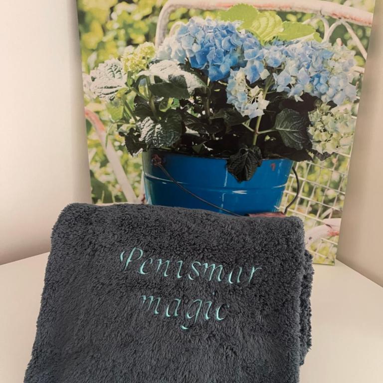 Penismar Magic - Apartamento de 3 dormitorios - 43