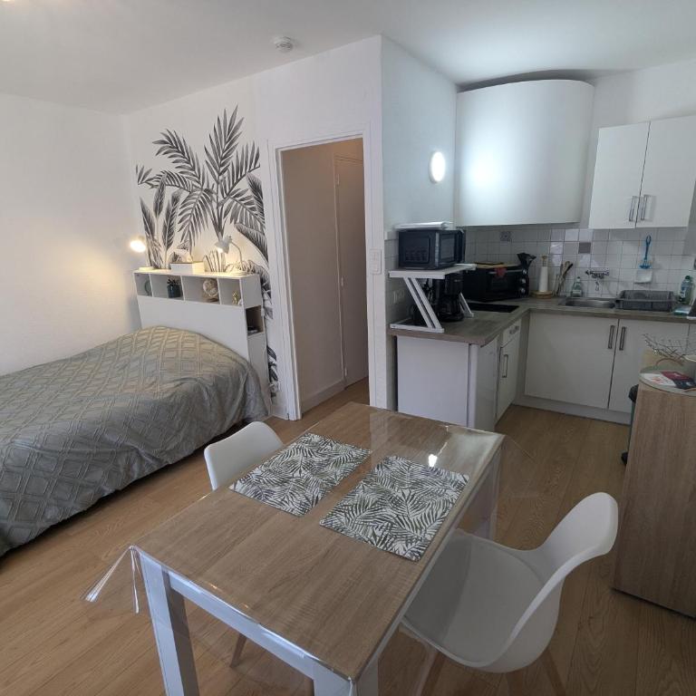 Studio Rue Castellane pour Cure ou Tourisme Vert à 2 min des Thermes - Appartement 1 Chambre - 3