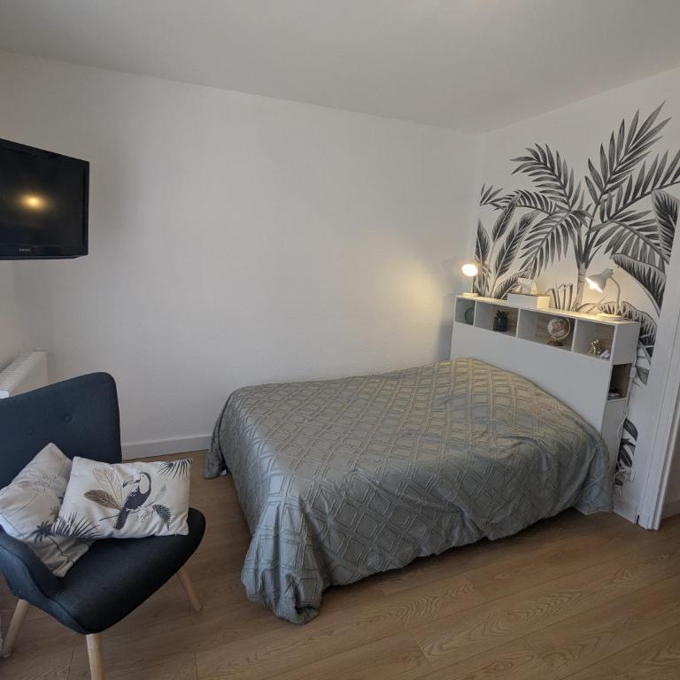 Studio Rue Castellane pour Cure ou Tourisme Vert à 2 min des Thermes - Appartement 1 Chambre - 8