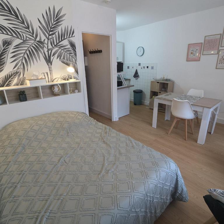 Studio Rue Castellane pour Cure ou Tourisme Vert à 2 min des Thermes - Appartement 1 Chambre - 1