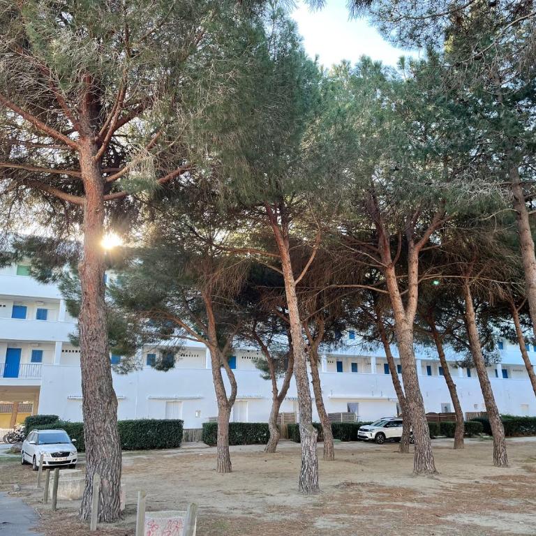 Miramar By Bellavista - 250 m de la plage - terrasse - Appartamento con 1 Camera da Letto - 25