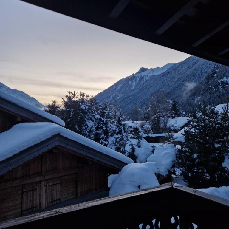 Appartement ensoleillé aux Tines, vue Massif - Appartamento con 1 Camera da Letto - 14