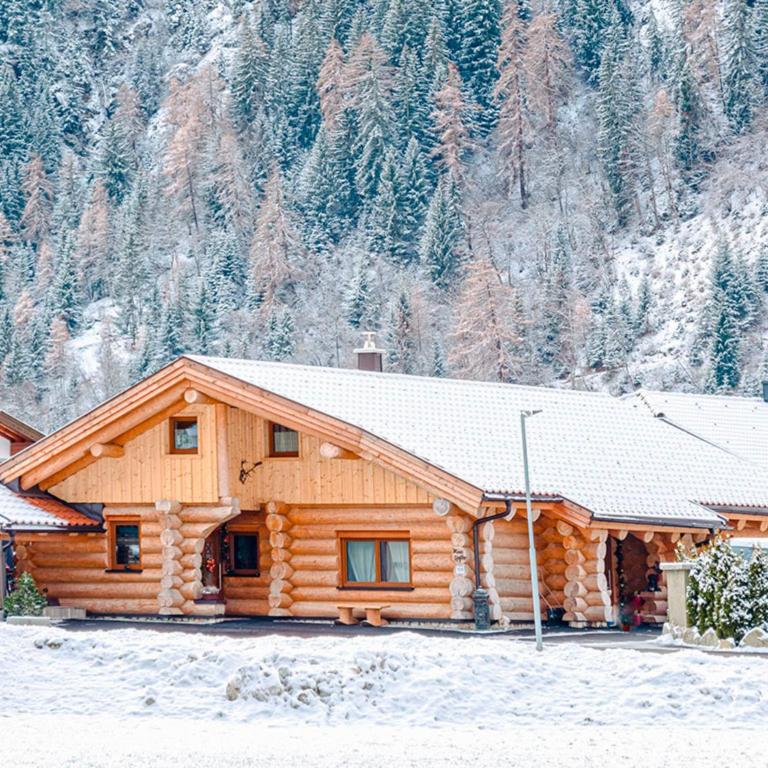Alpenchalet Montana - Ferienhaus - 19