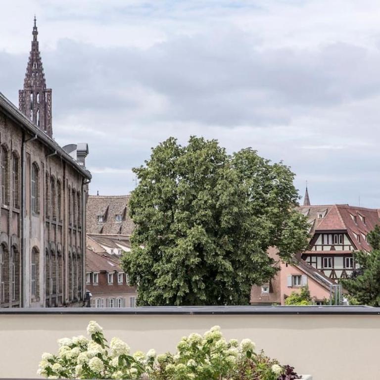 L'Académie - Magnifique 3 chambres Krutenau avec parking - Appartamento con 3 Camere da Letto - 15
