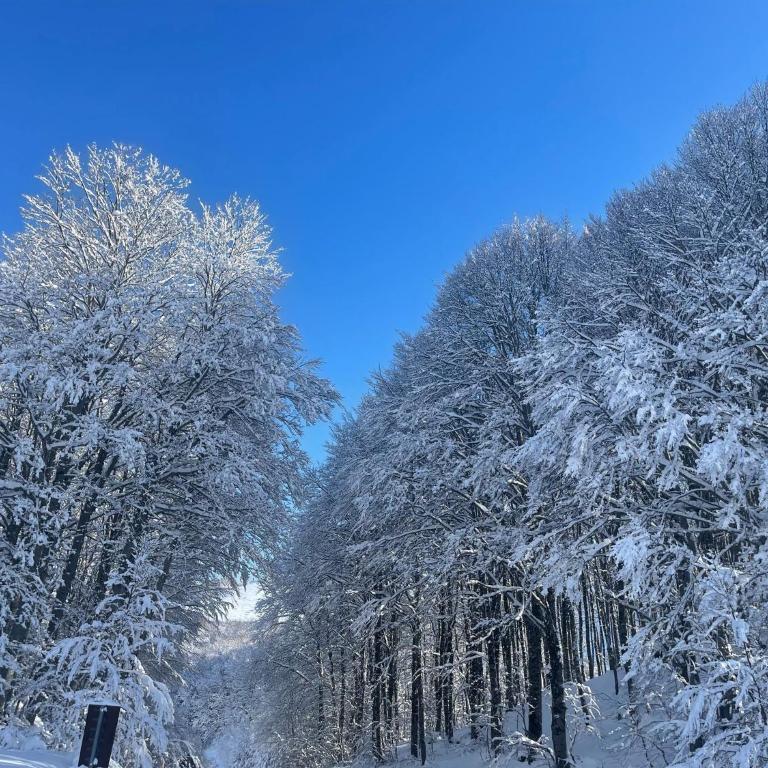 Rifugio dello sciatore Roccaraso - Appartamento con 1 Camera da Letto - 24