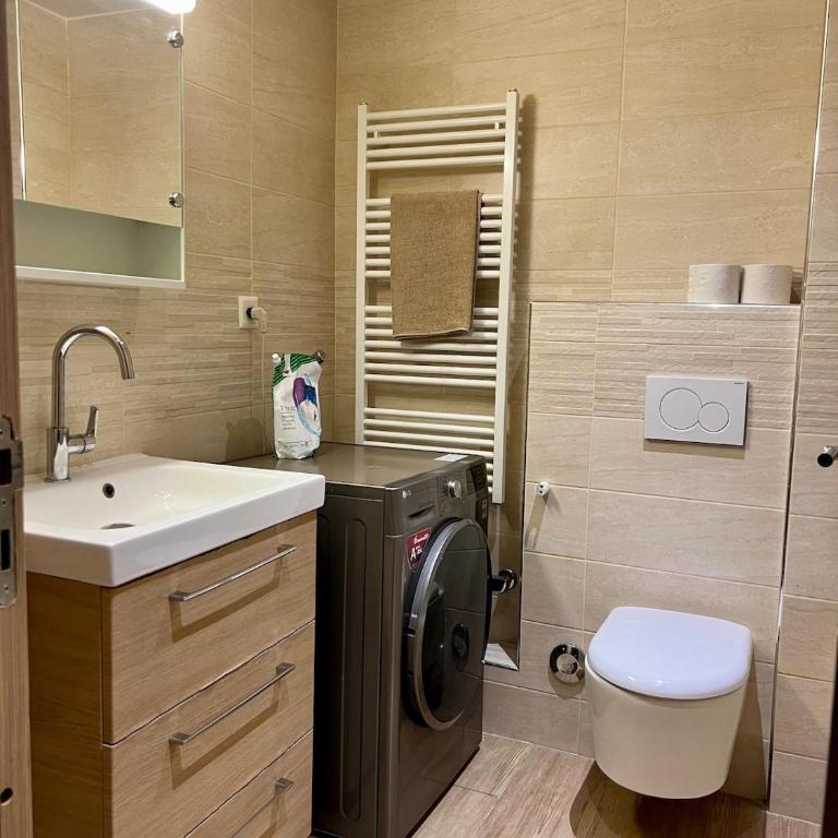 Beautiful central apartment GE - Appartement 1 Chambre - 5