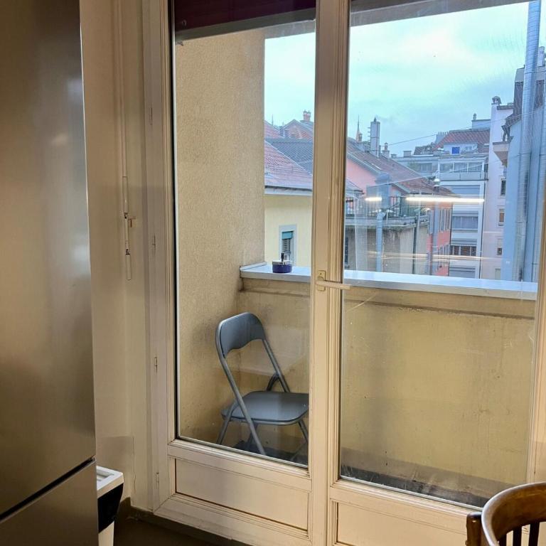 Beautiful central apartment GE - Appartement 1 Chambre - 7
