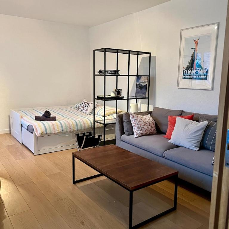 Beautiful central apartment GE - Appartement 1 Chambre - 14