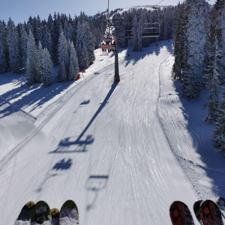Kopaonik Milmari P50 - Apartment - 16