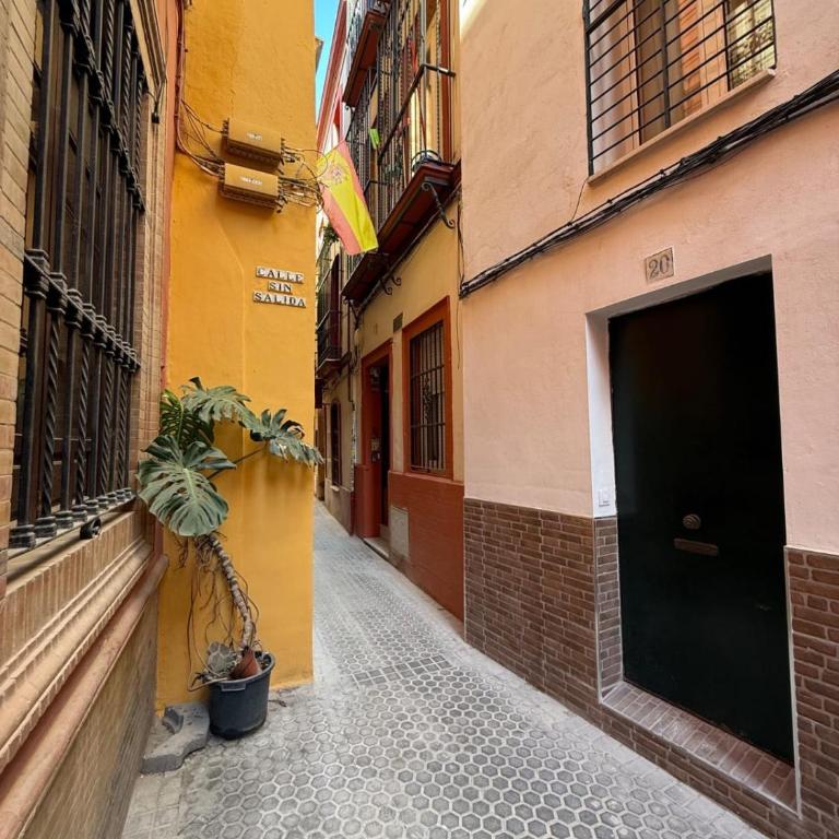 Dúplex Masset - Apartamento de 2 dormitorios - 23