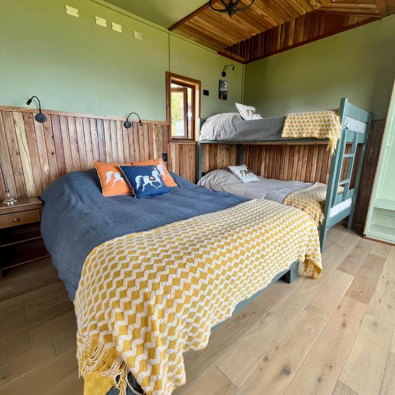 Panguipulli Bella Vista - One-Bedroom Apartment - 4
