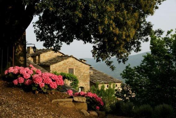Cortona Village Heights - Appartamento con 1 Camera da Letto con Vista - 20