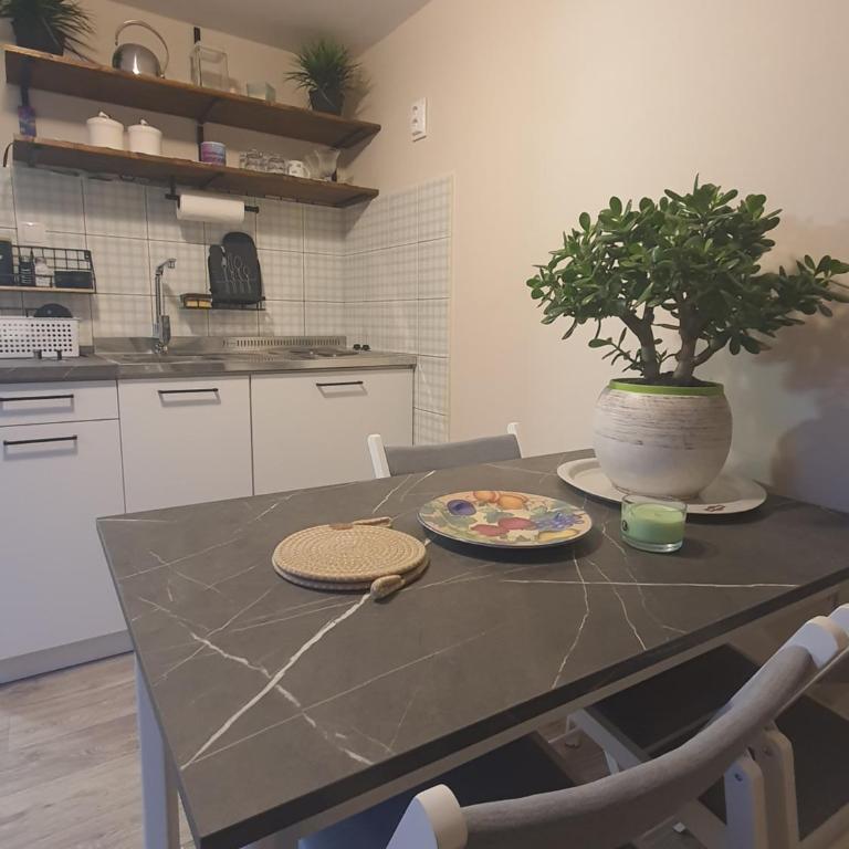 Cozy Studio with a large Terrace and Sea View - Apartman sa 1 Spavaćom Sobom - 3