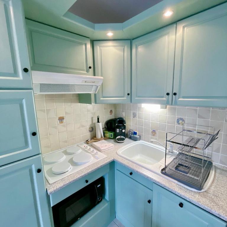 Appartement Le Belvédère Bleu - Appartamento con 2 Camere da Letto - 5