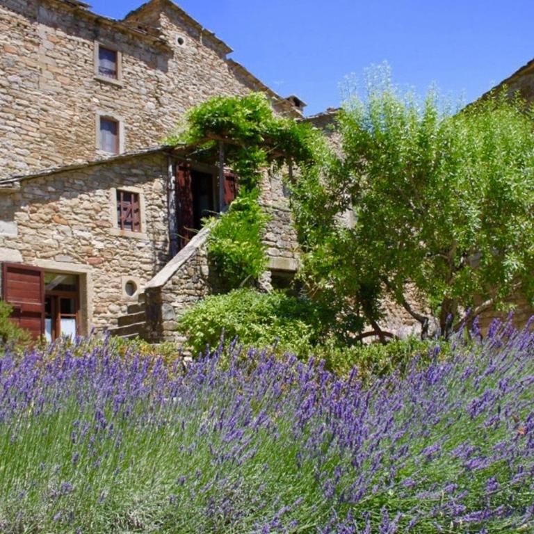 Cortona Village Heights - Appartamento con 1 Camera da Letto con Vista - 3