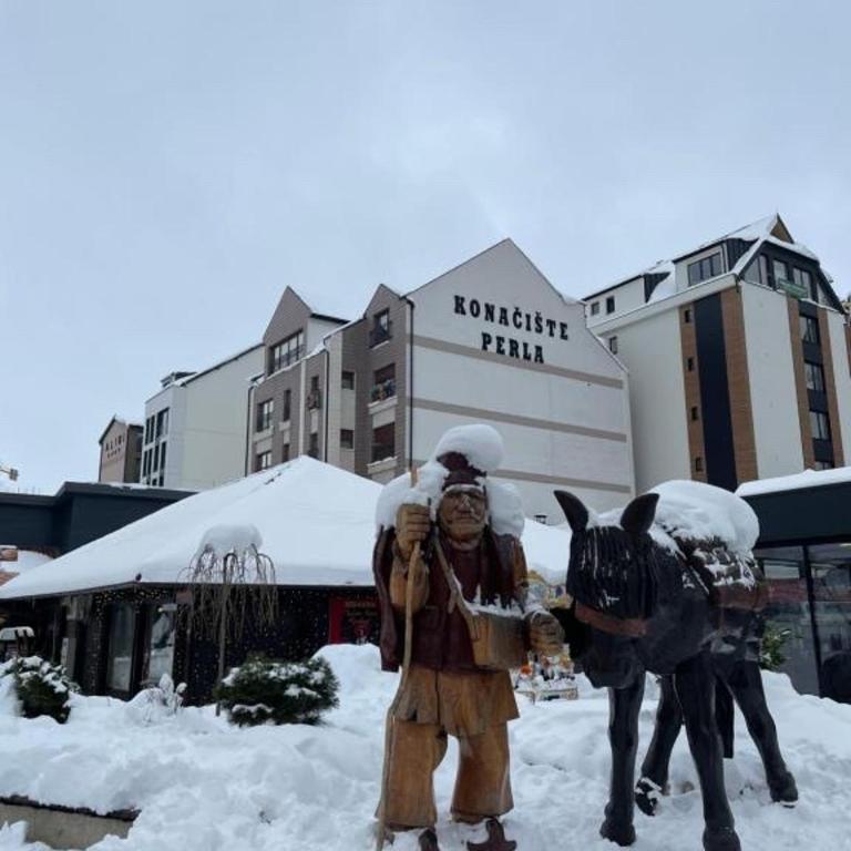 FIRST CLASS Apartments Zlatibor - Apartman sa 1 Spavaćom Sobom - 24