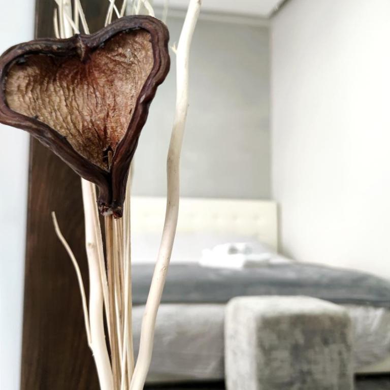 Quiet & Central Specious Apartment - Apartman sa 1 Spavaćom Sobom - 4