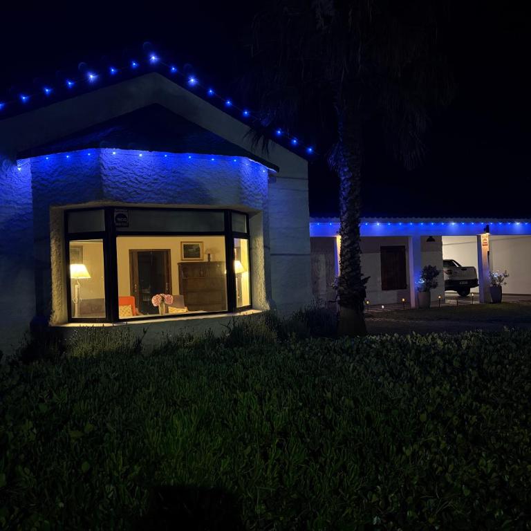 Casona rambla - Casa de 4 dormitorios - 17