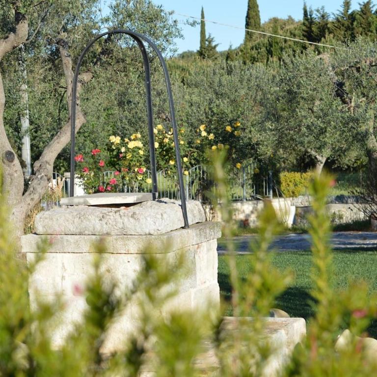 Trullo Gaio - Ostuni -Valle D'Itria- - Casa Vacanze - 6