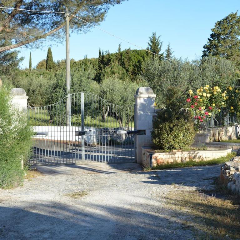Trullo Gaio - Ostuni -Valle D'Itria- - Casa Vacanze - 8