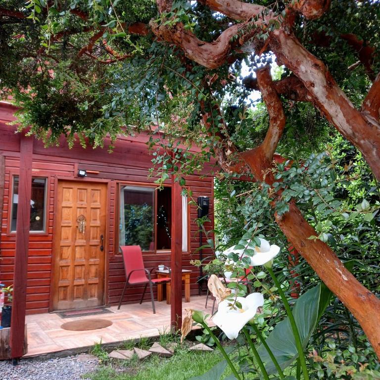 Cabaña con muro de escalada - Chalet de 2 dormitorios - 1