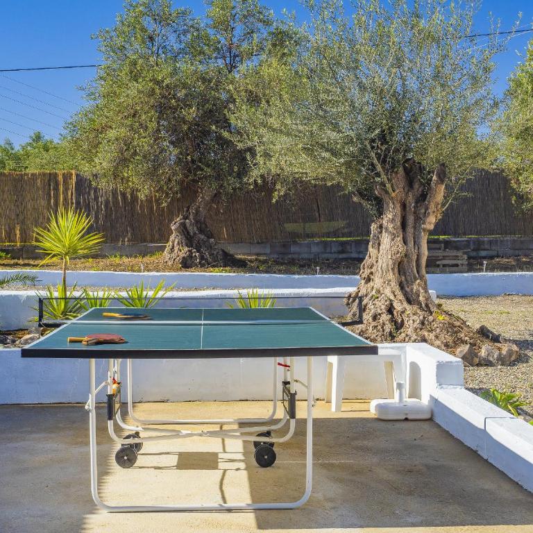 Cubo's Casa Rural La Oliva - Vacation Home - 63